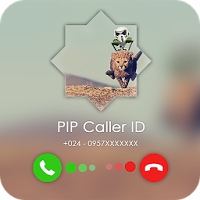PIP Caller Id Screen