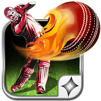 T20 Cricket: T20 2016